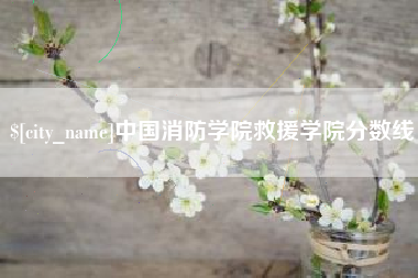 深圳中国消防学院救援学院分数线