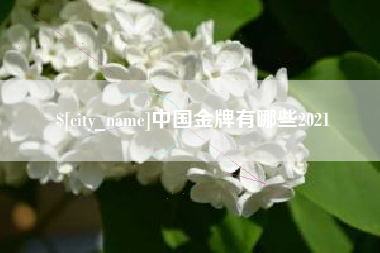 深圳中国金牌有哪些2021