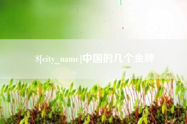 深圳中国的几个金牌