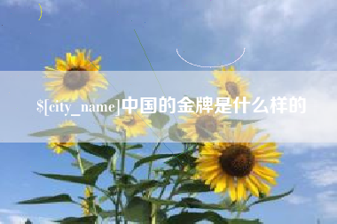 深圳中国的金牌是什么样的