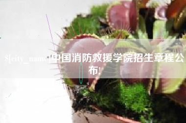 深圳中国消防救援学院招生章程公布!