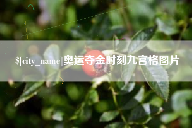 深圳奥运夺金时刻九宫格图片