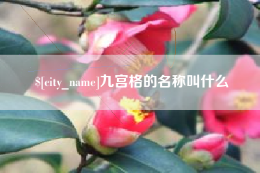 深圳九宫格的名称叫什么