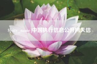 深圳中国执行信息公开网失信