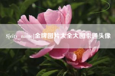 深圳金牌图片大全大图卡通头像