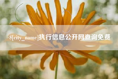 深圳执行信息公开网查询免费