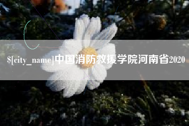 深圳中国消防救援学院河南省2020